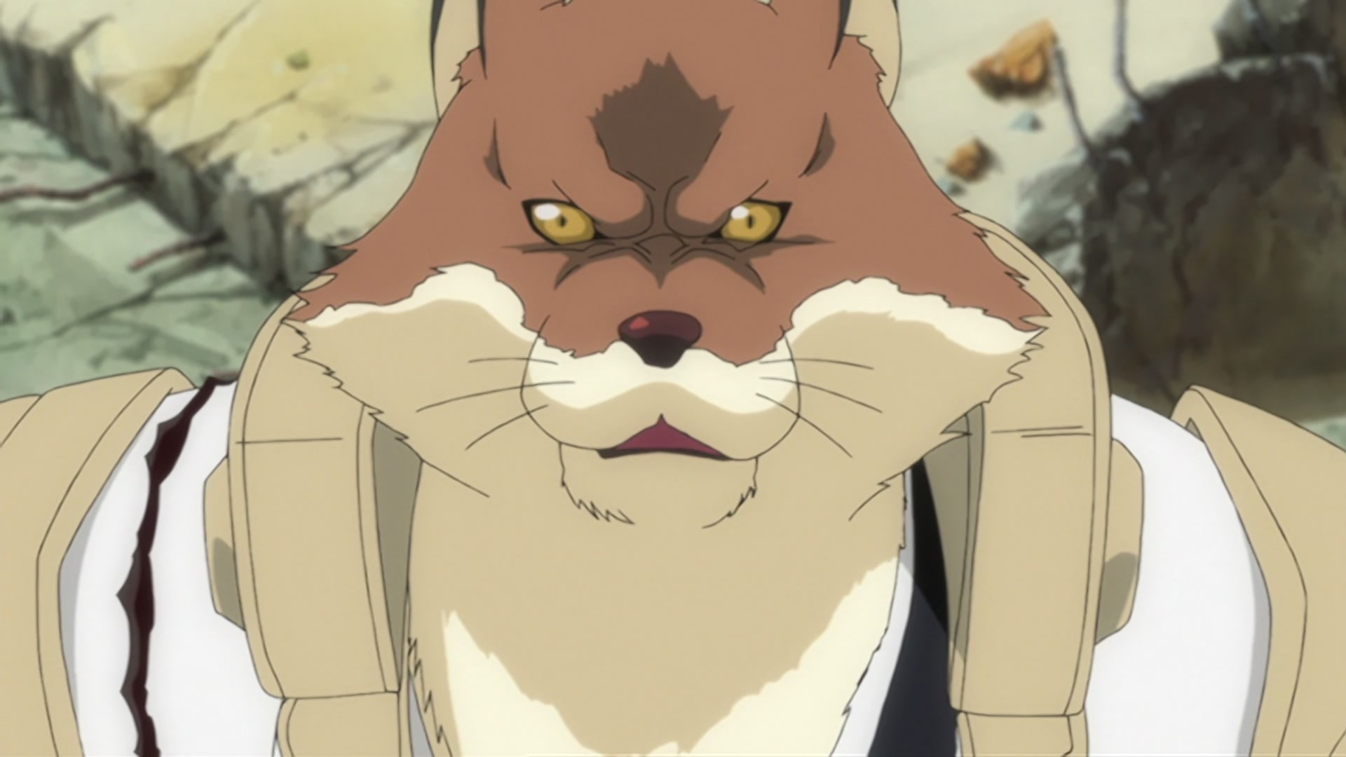 Bleach Ep 291: Desperate Struggle with Aizen! Hirako, Shikai! @ 00:02:41