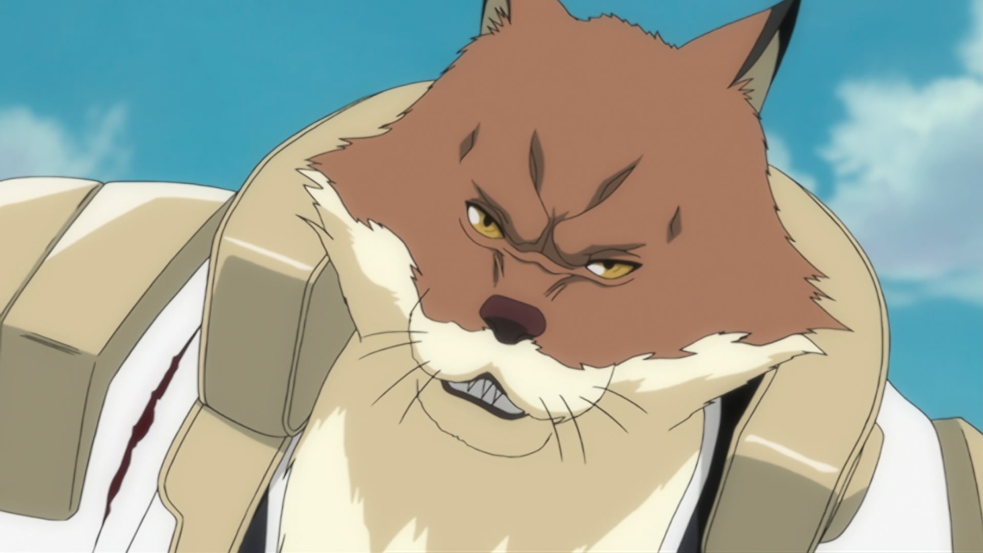 Bleach Ep 291: Desperate Struggle with Aizen! Hirako, Shikai! @ 00:03:52