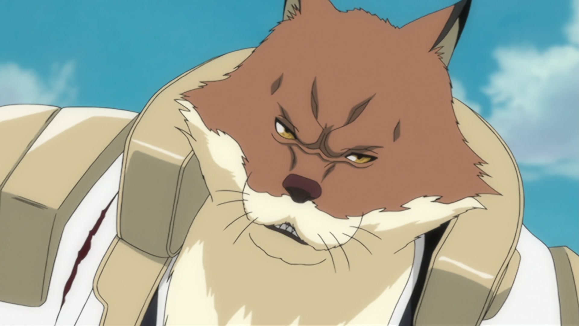 Bleach Ep 291: Desperate Struggle with Aizen! Hirako, Shikai! @ 00:03:57