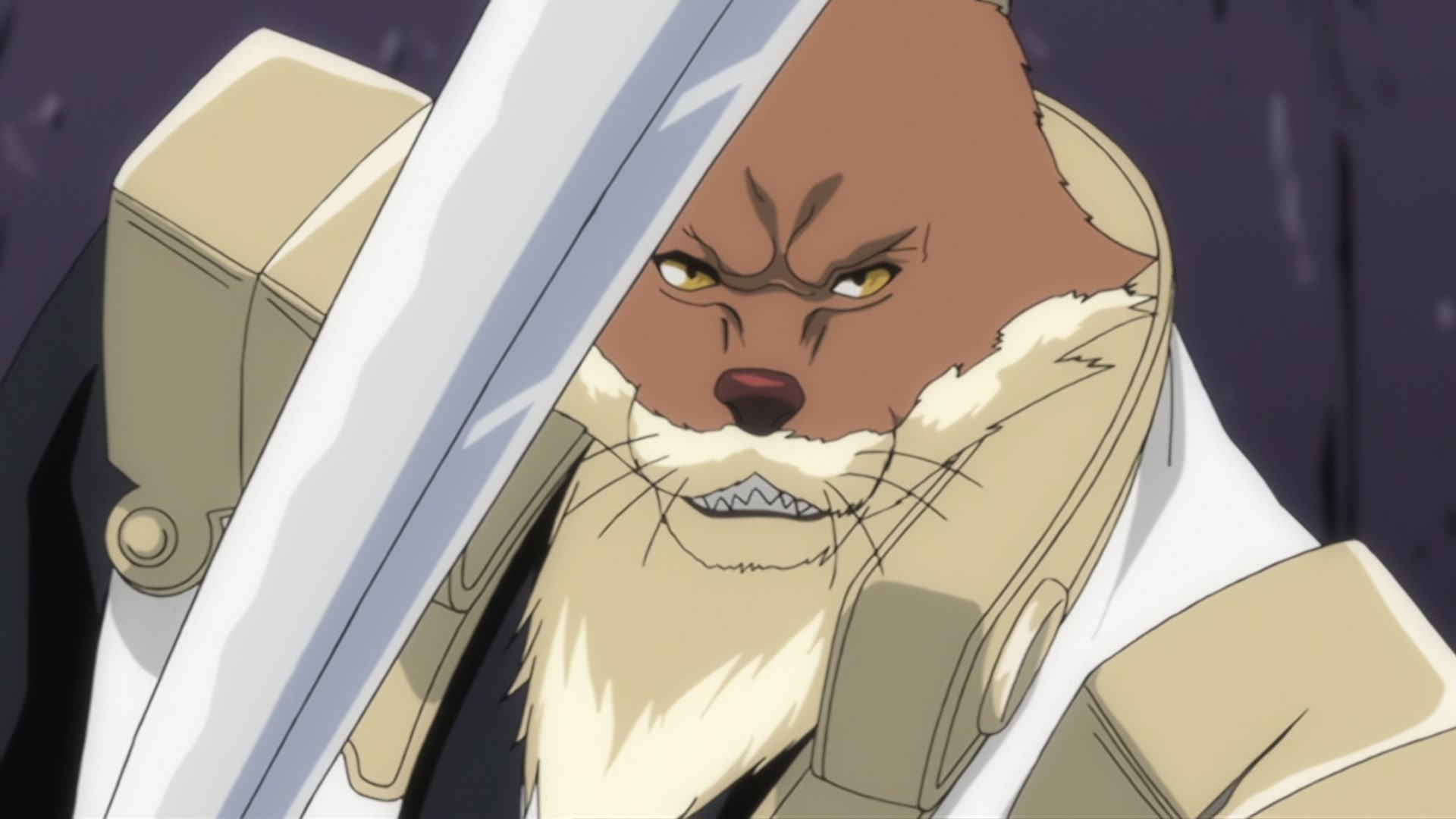 Bleach Ep 291: Desperate Struggle with Aizen! Hirako, Shikai! @ 00:04:54