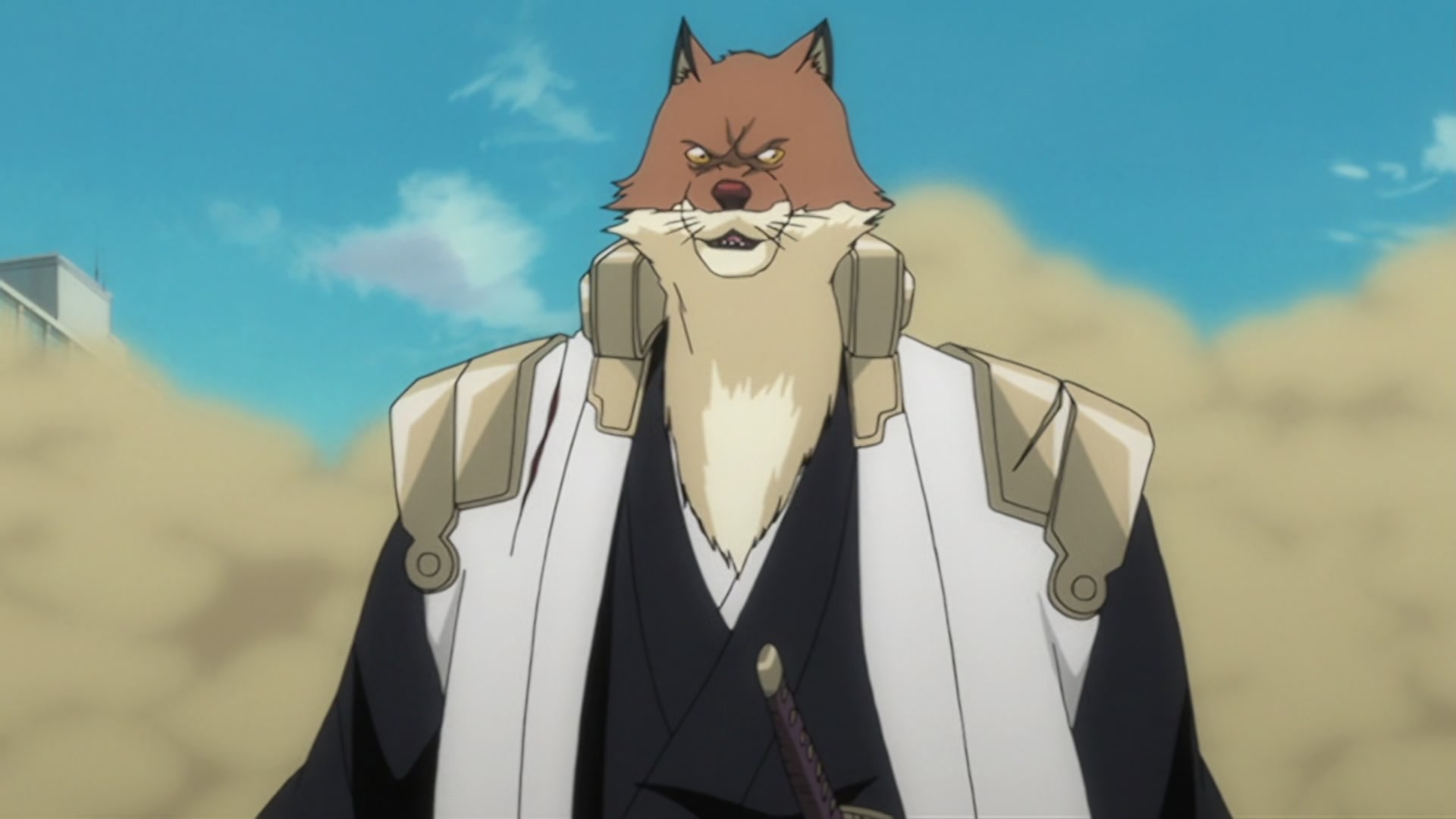 Bleach Ep 291: Desperate Struggle with Aizen! Hirako, Shikai! @ 00:08:23