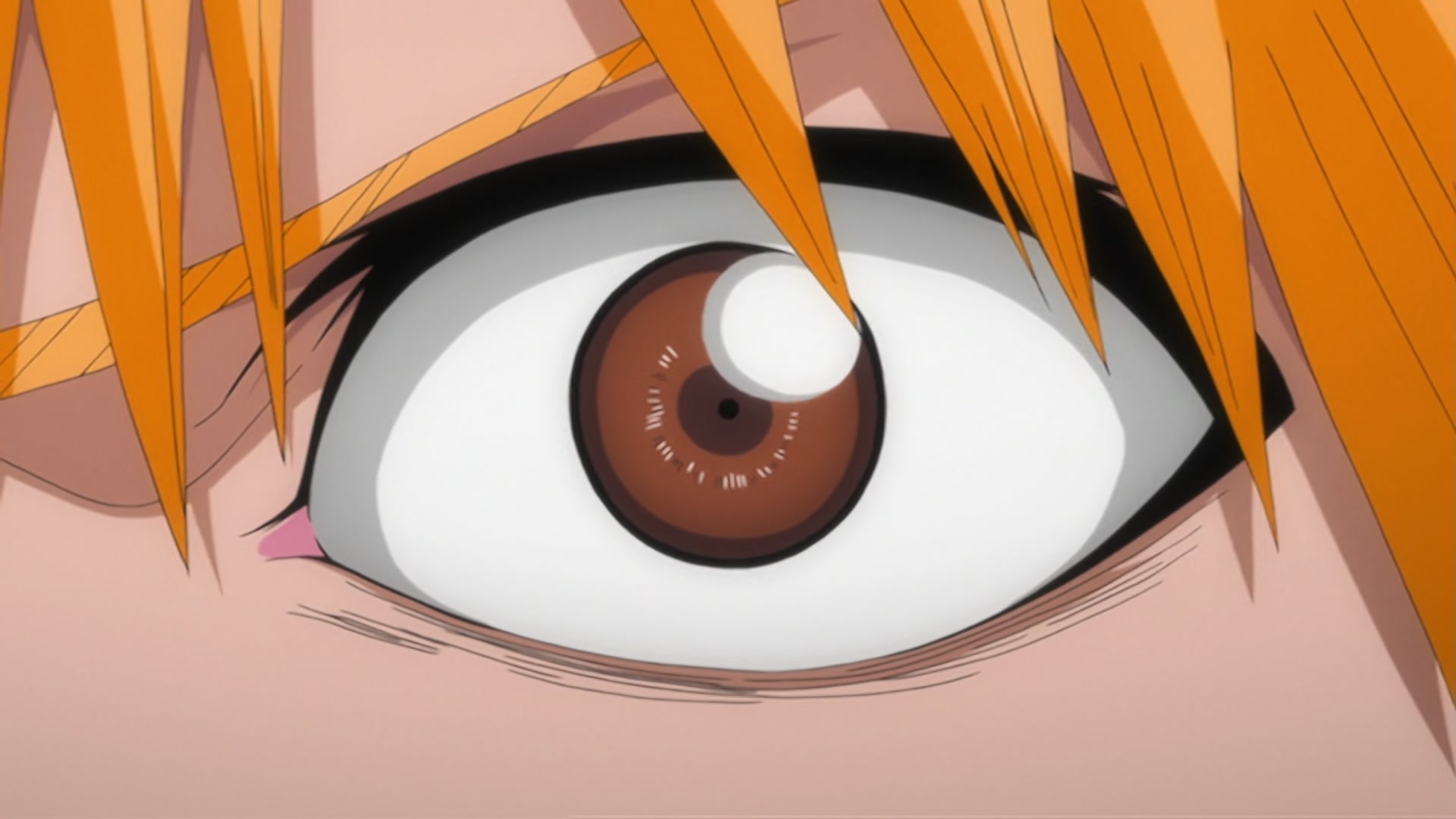 Bleach Ep 293: Hitsugaya, Enraged! The Blade of Hatred! @ 00:13:09