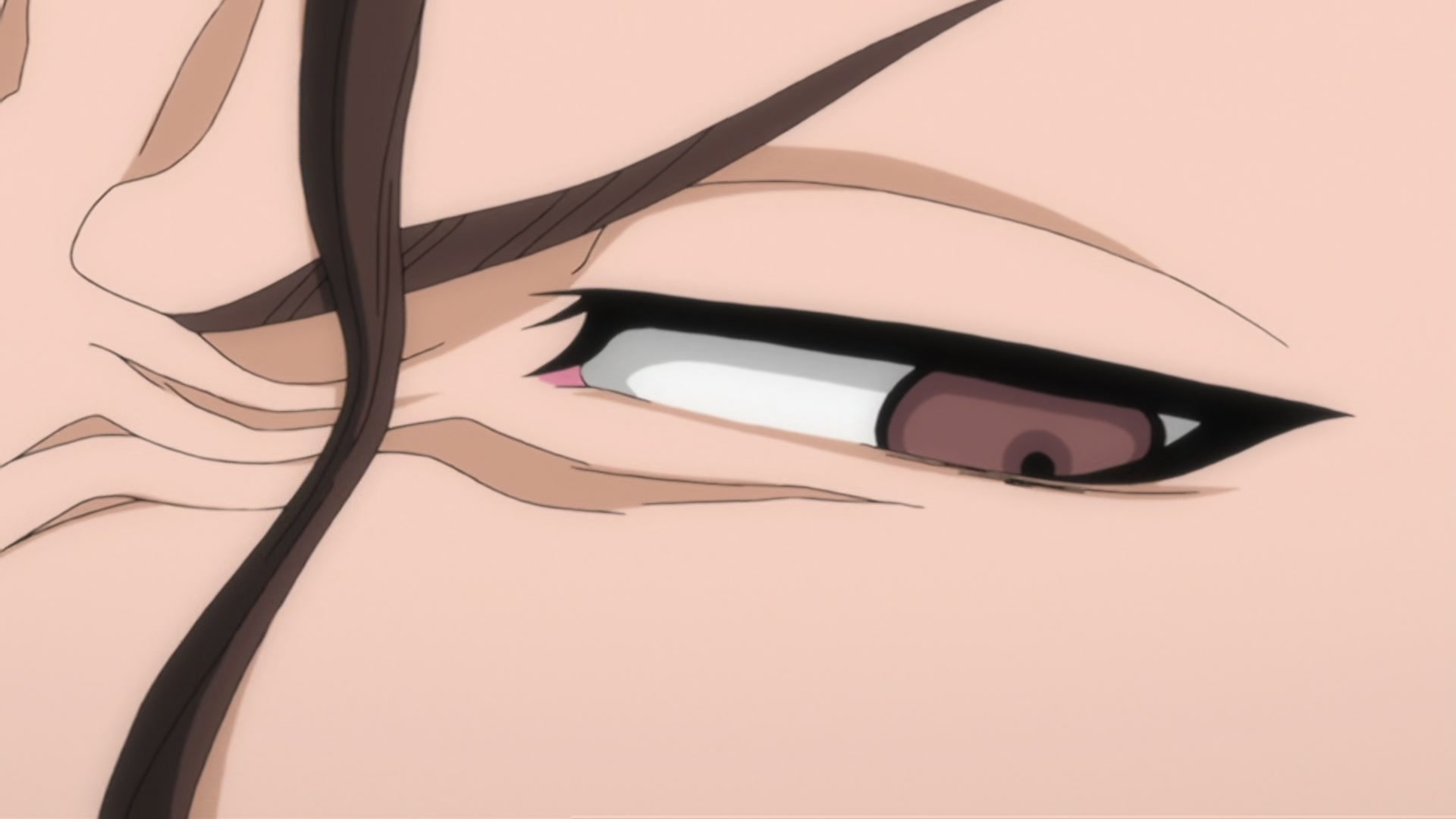 Bleach Ep 293: Hitsugaya, Enraged! The Blade of Hatred! @ 00:17:21