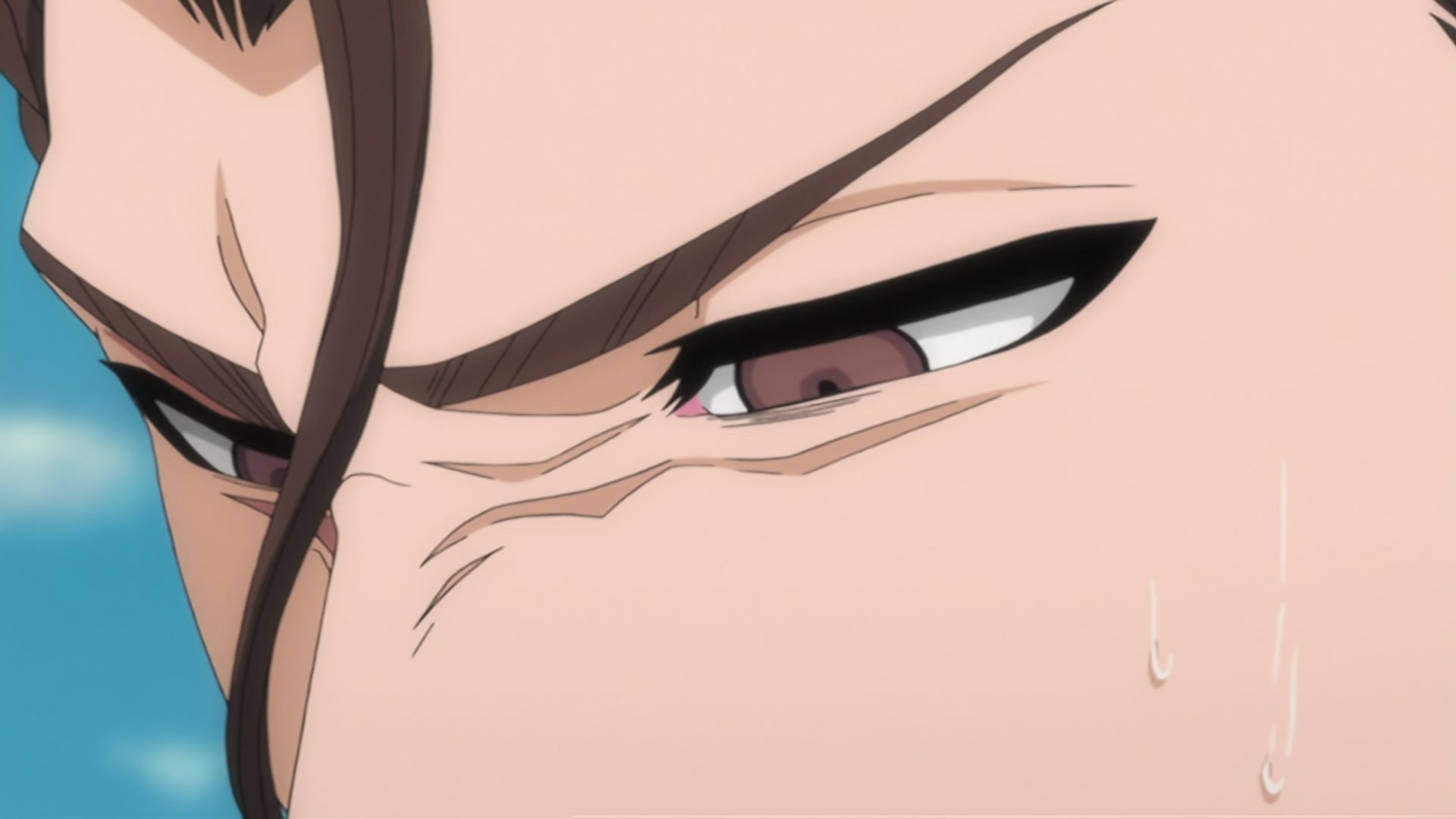 Bleach Ep 293: Hitsugaya, Enraged! The Blade of Hatred! @ 00:17:26