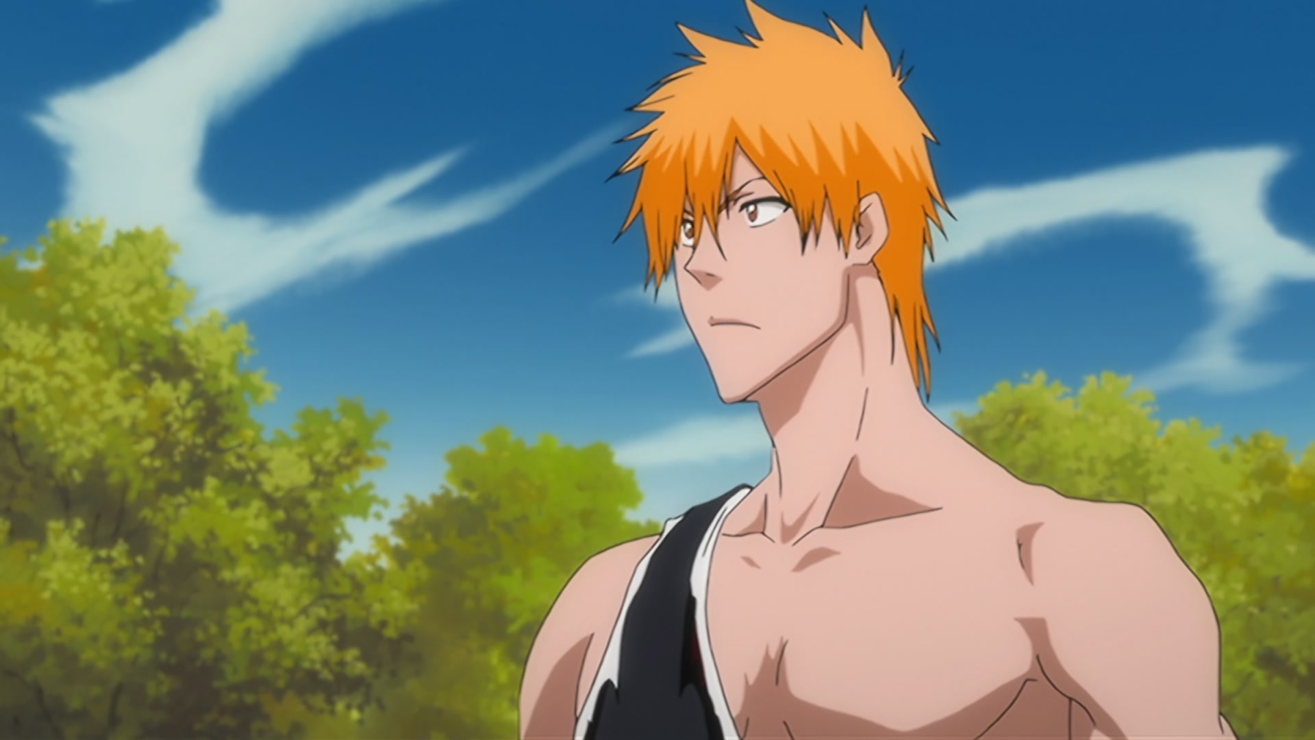 Bleach Ep 310: Ichigo's Resolution! The Price of the Fierce Battle @ 00:08:04