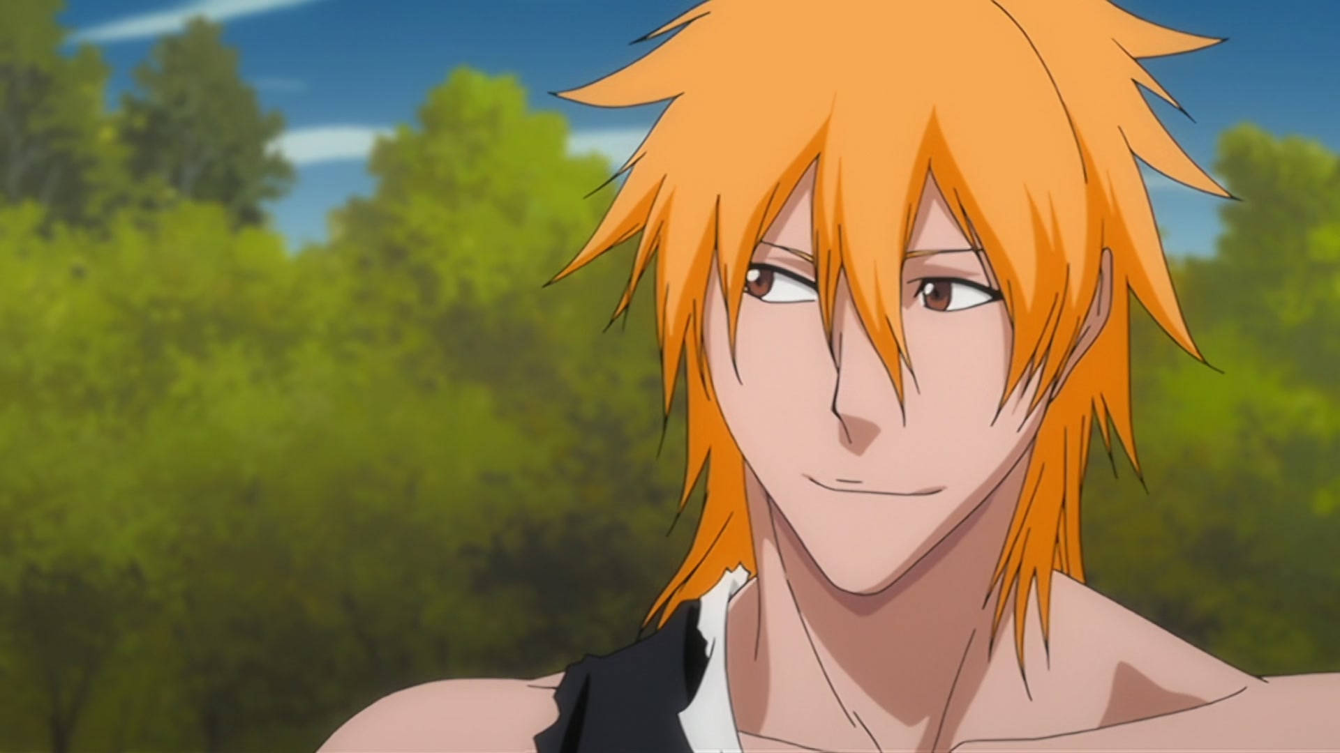 Bleach Ep 310: Ichigo's Resolution! The Price of the Fierce Battle @ 00:08:09