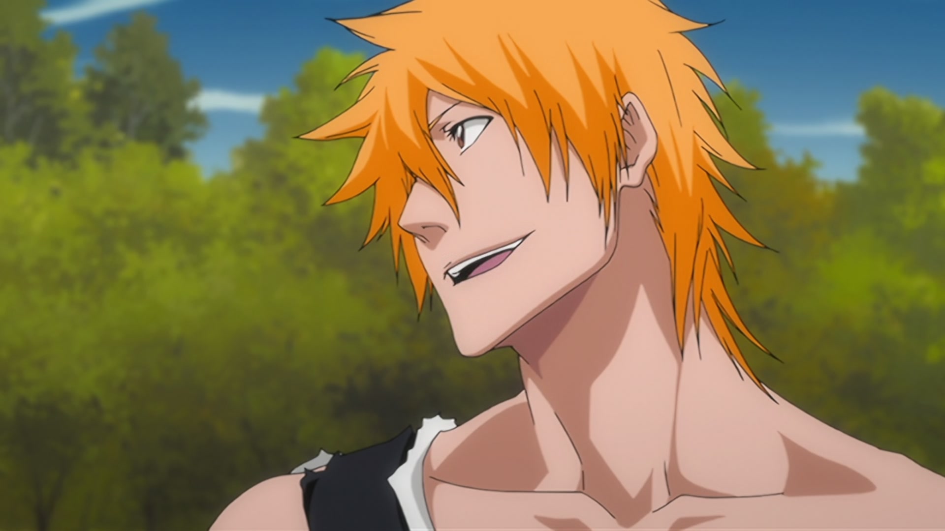 Bleach Ep 310: Ichigo's Resolution! The Price of the Fierce Battle @ 00:08:14