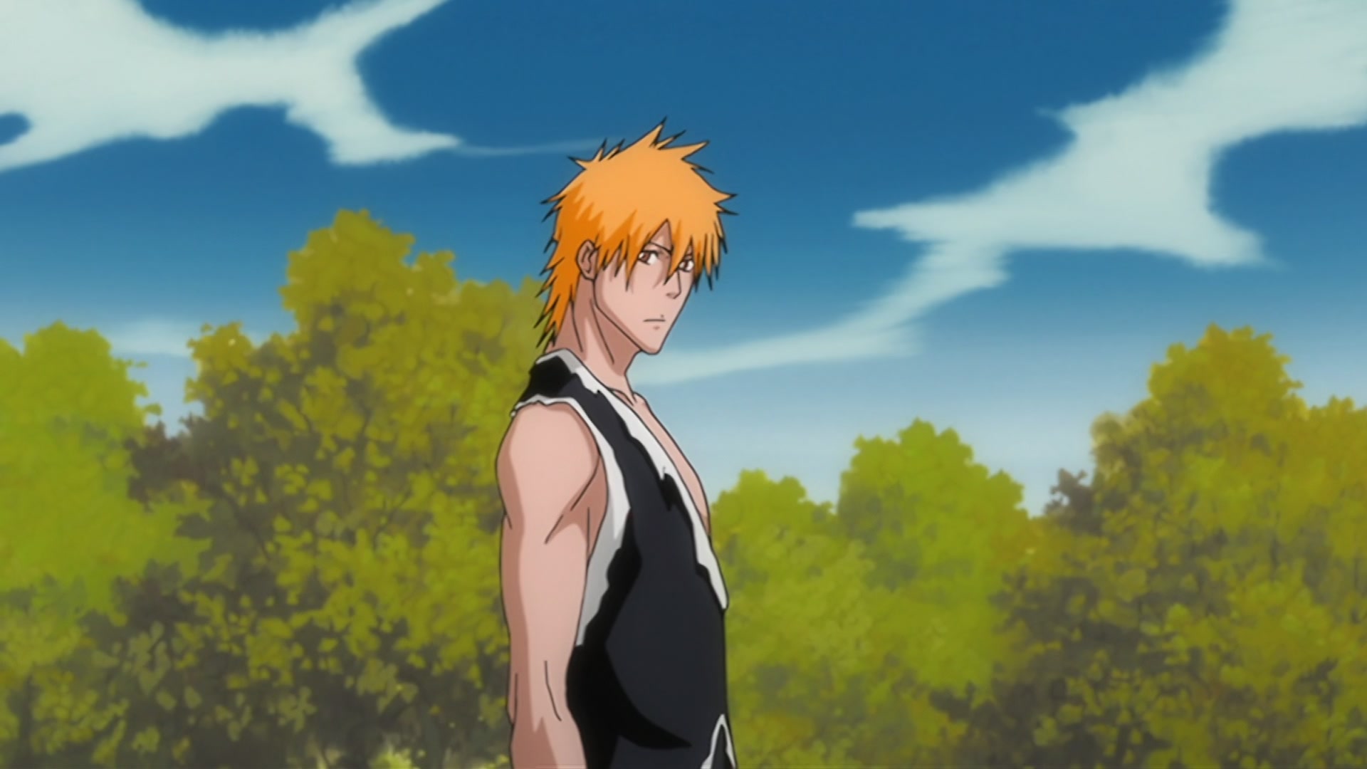 Bleach Ep 310: Ichigo's Resolution! The Price of the Fierce Battle @ 00:08:18