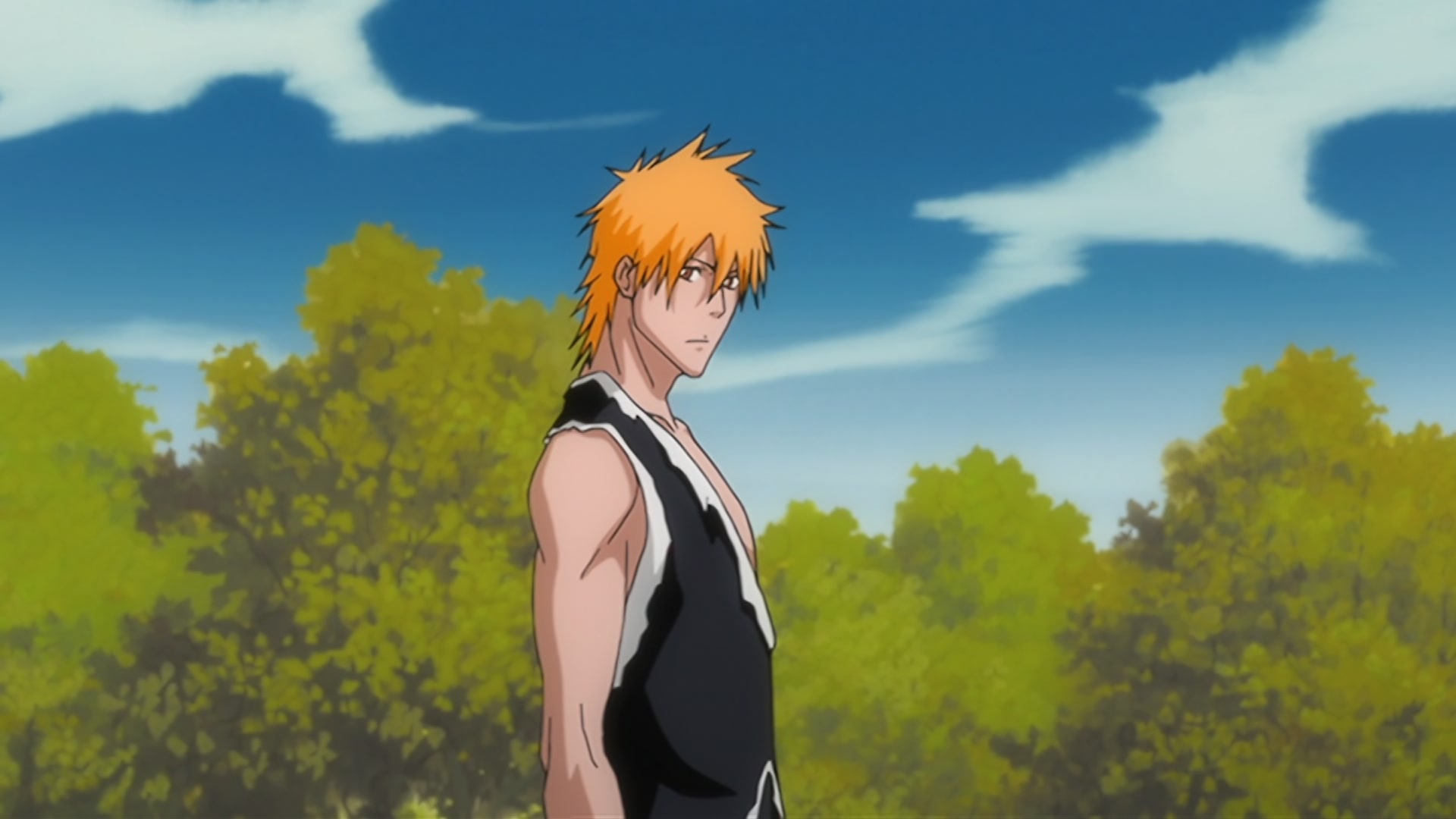 Bleach Ep 310: Ichigo's Resolution! The Price of the Fierce Battle @ 00:08:23