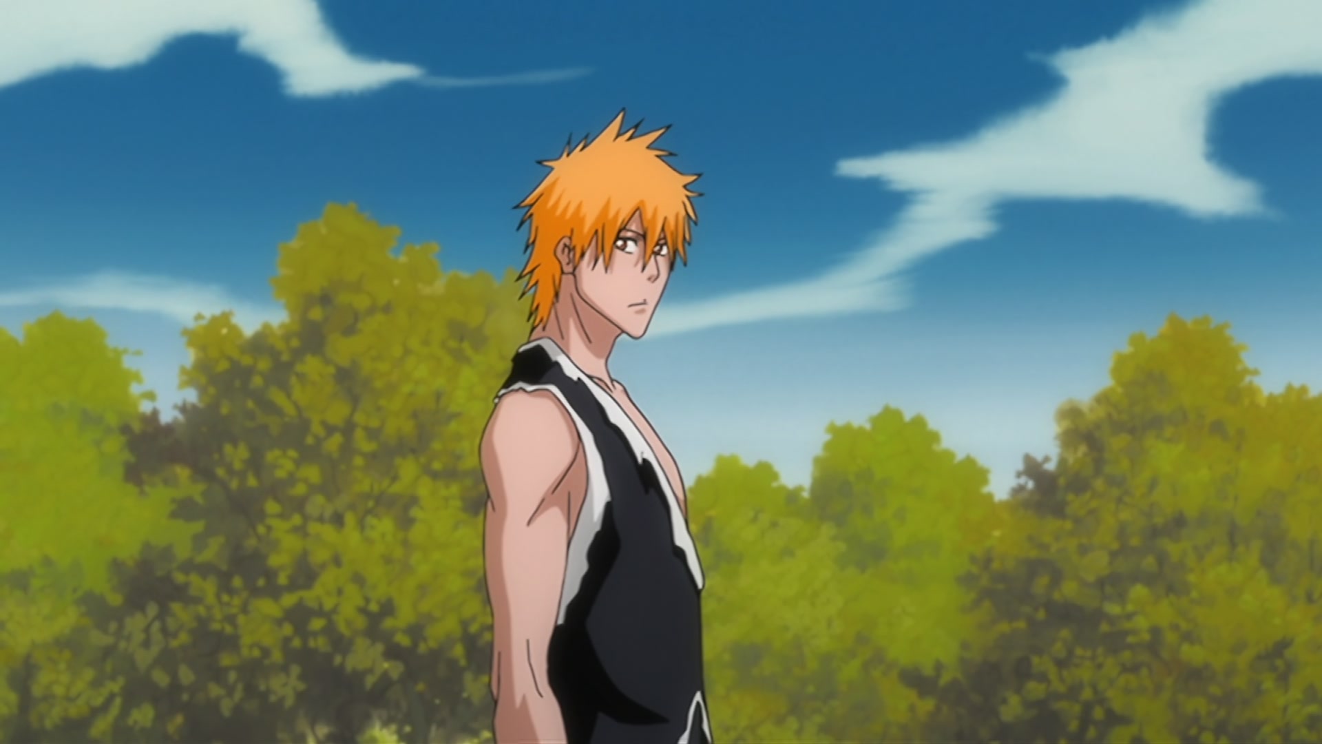 Bleach Ep 310: Ichigo's Resolution! The Price of the Fierce Battle @ 00:08:28