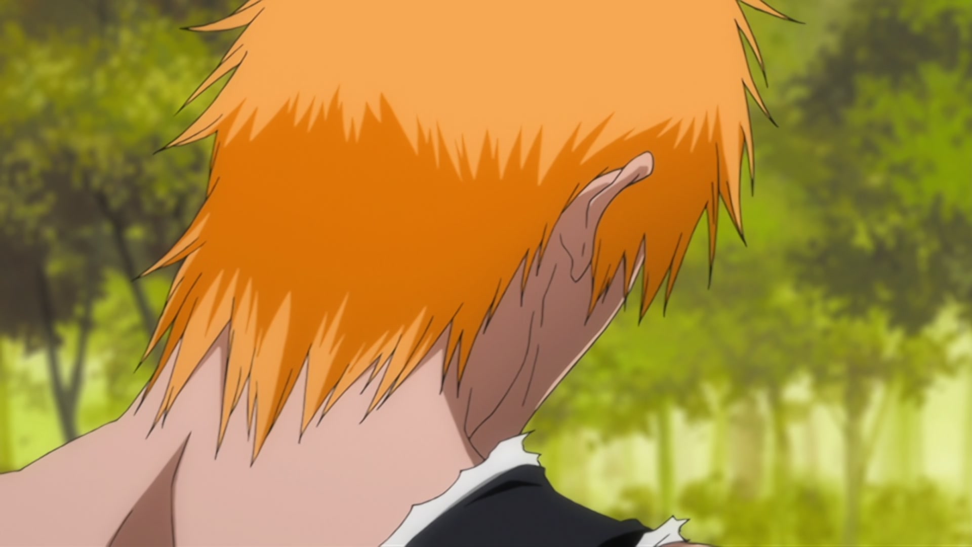 Bleach Ep 310: Ichigo's Resolution! The Price of the Fierce Battle @ 00:09:06