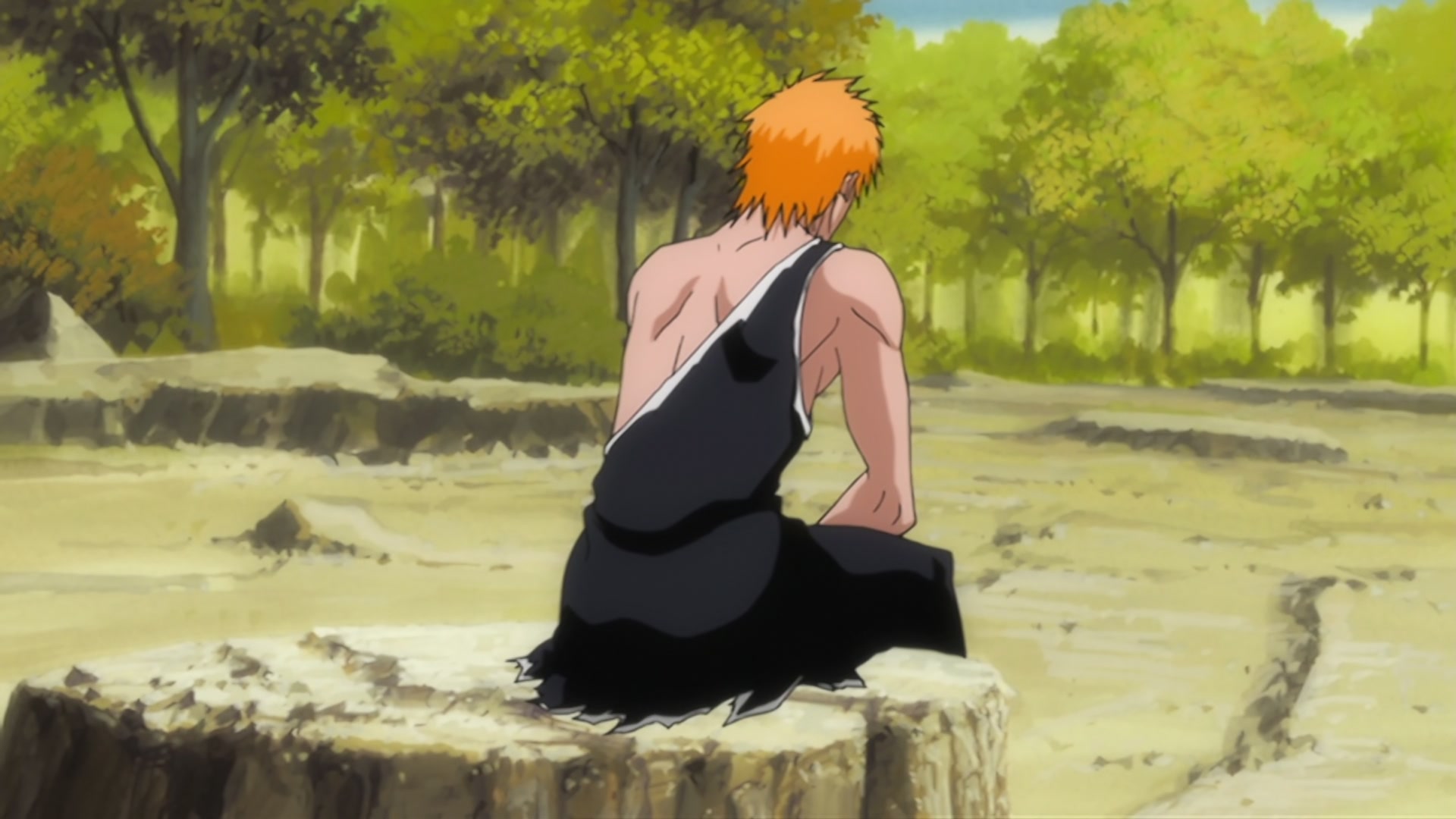 Bleach Ep 310: Ichigo's Resolution! The Price of the Fierce Battle @ 00:09:35