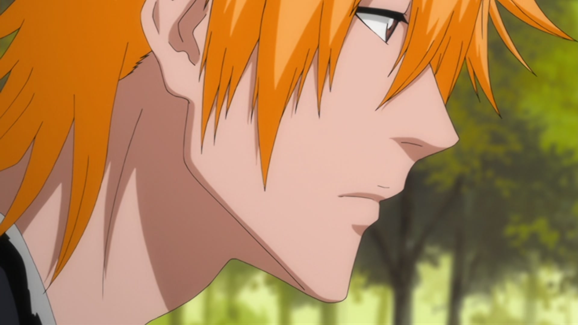 Bleach Ep 310: Ichigo's Resolution! The Price of the Fierce Battle @ 00:10:27