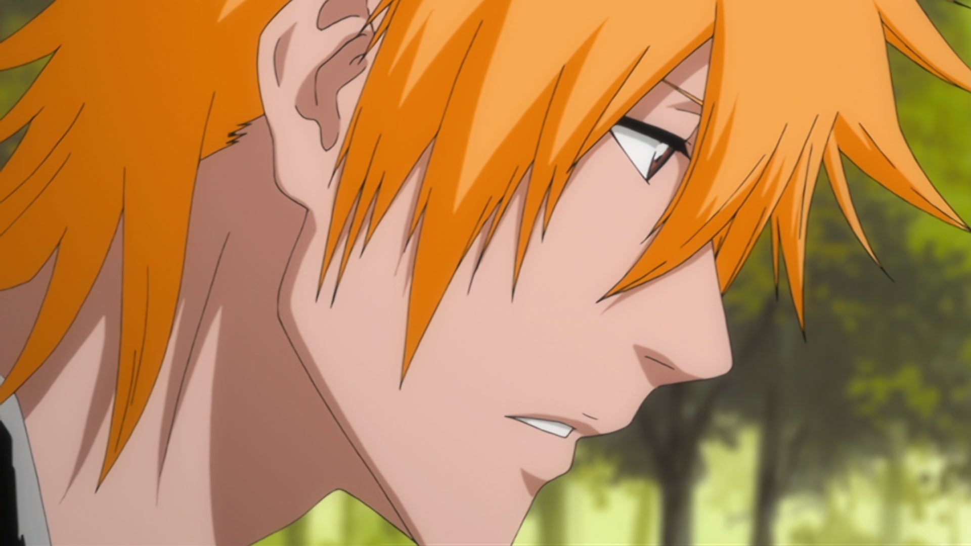 Bleach Ep 310: Ichigo's Resolution! The Price of the Fierce Battle @ 00:10:32