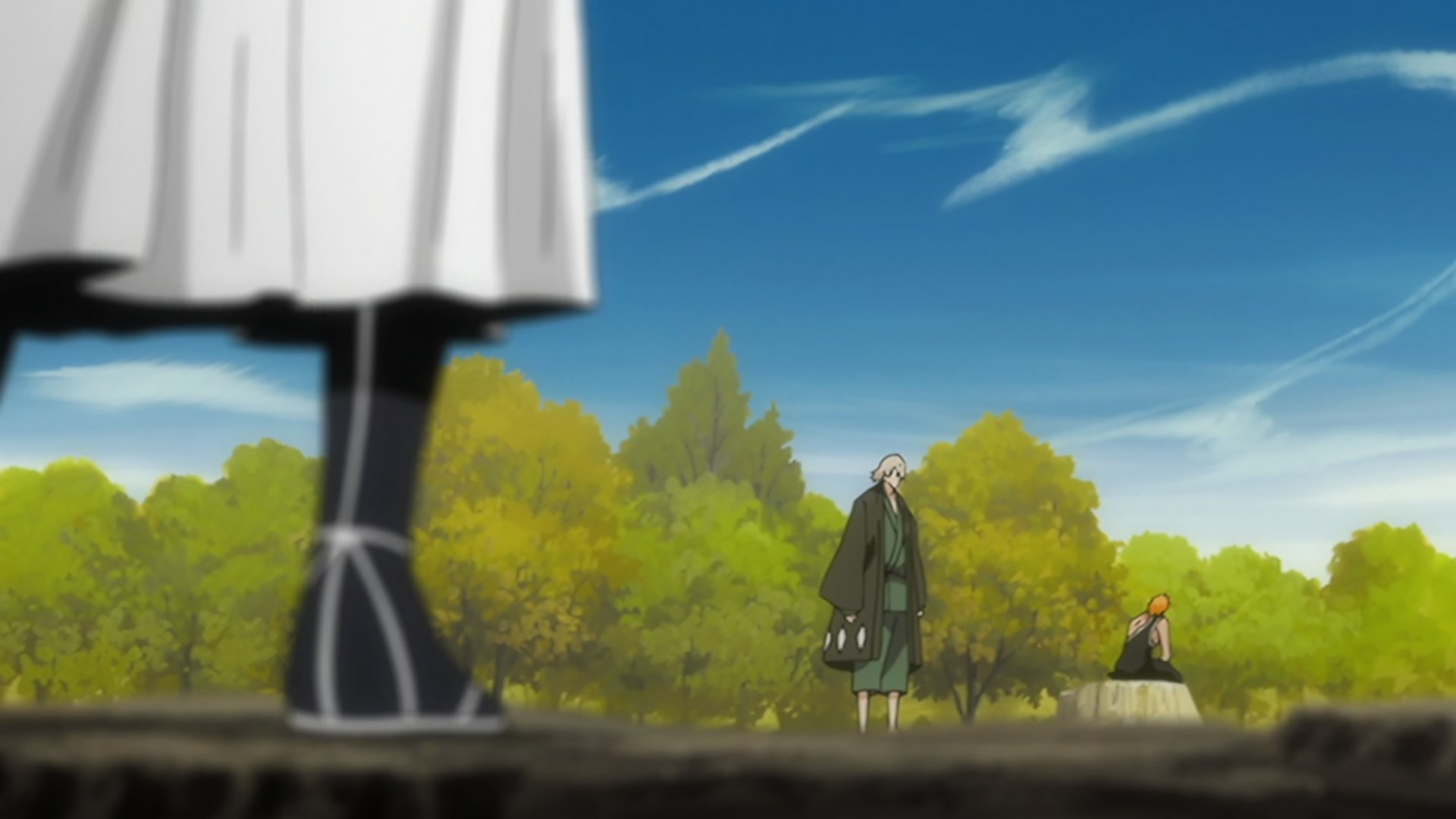 Bleach Ep 310: Ichigo's Resolution! The Price of the Fierce Battle @ 00:10:46