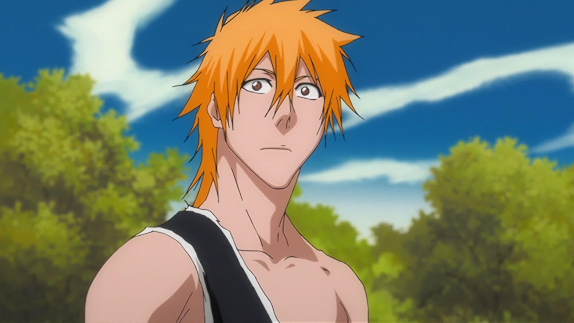 Bleach Ep 310: Ichigo's Resolution! The Price of the Fierce Battle @ 00:10:55