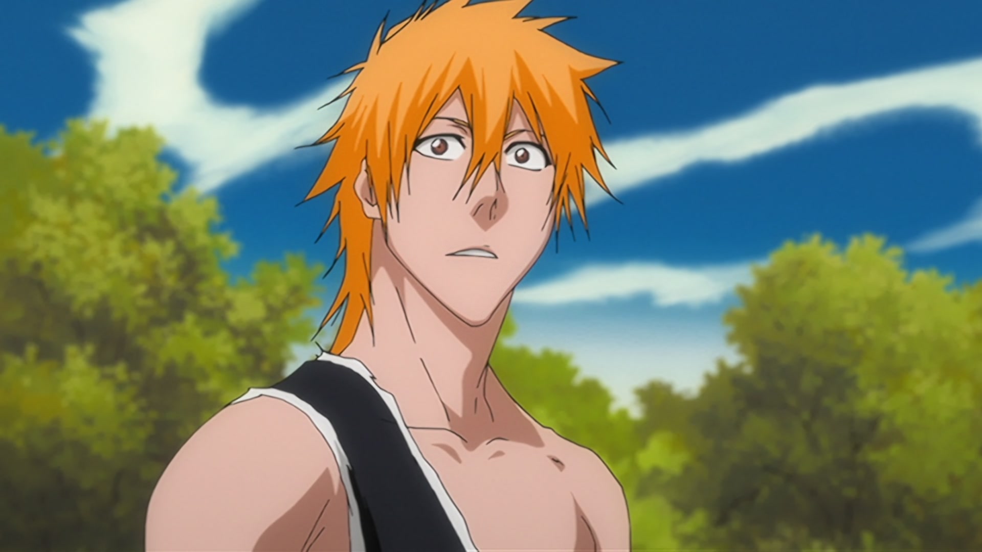 Bleach Ep 310: Ichigo's Resolution! The Price of the Fierce Battle @ 00:11:00