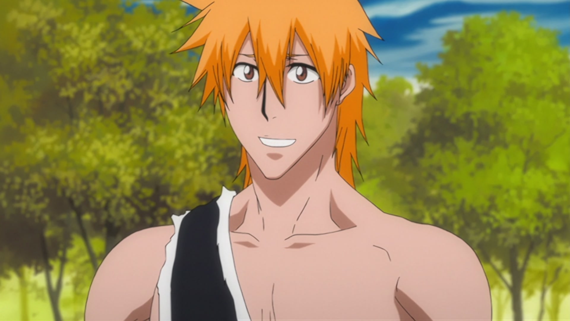 Bleach Ep 310: Ichigo's Resolution! The Price of the Fierce Battle @ 00:11:33