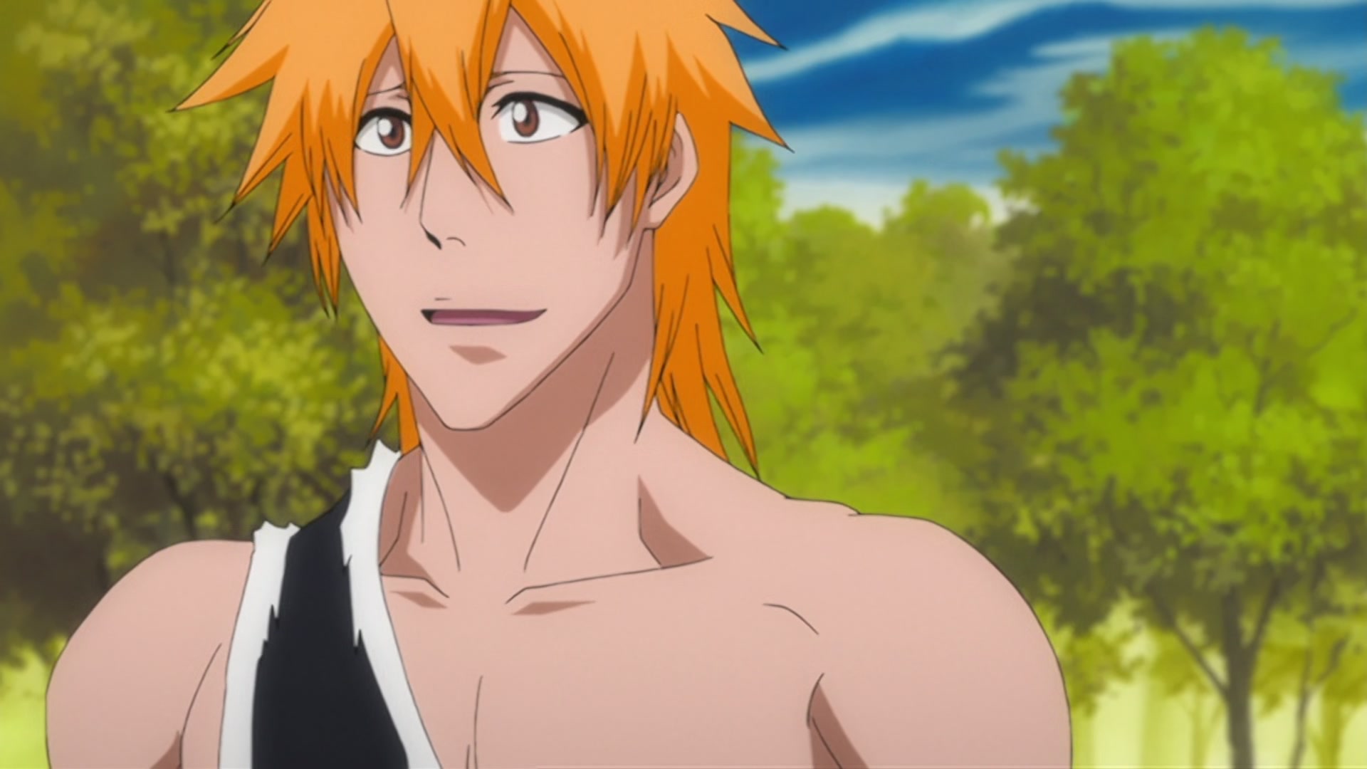 Bleach Ep 310: Ichigo's Resolution! The Price of the Fierce Battle @ 00:11:38