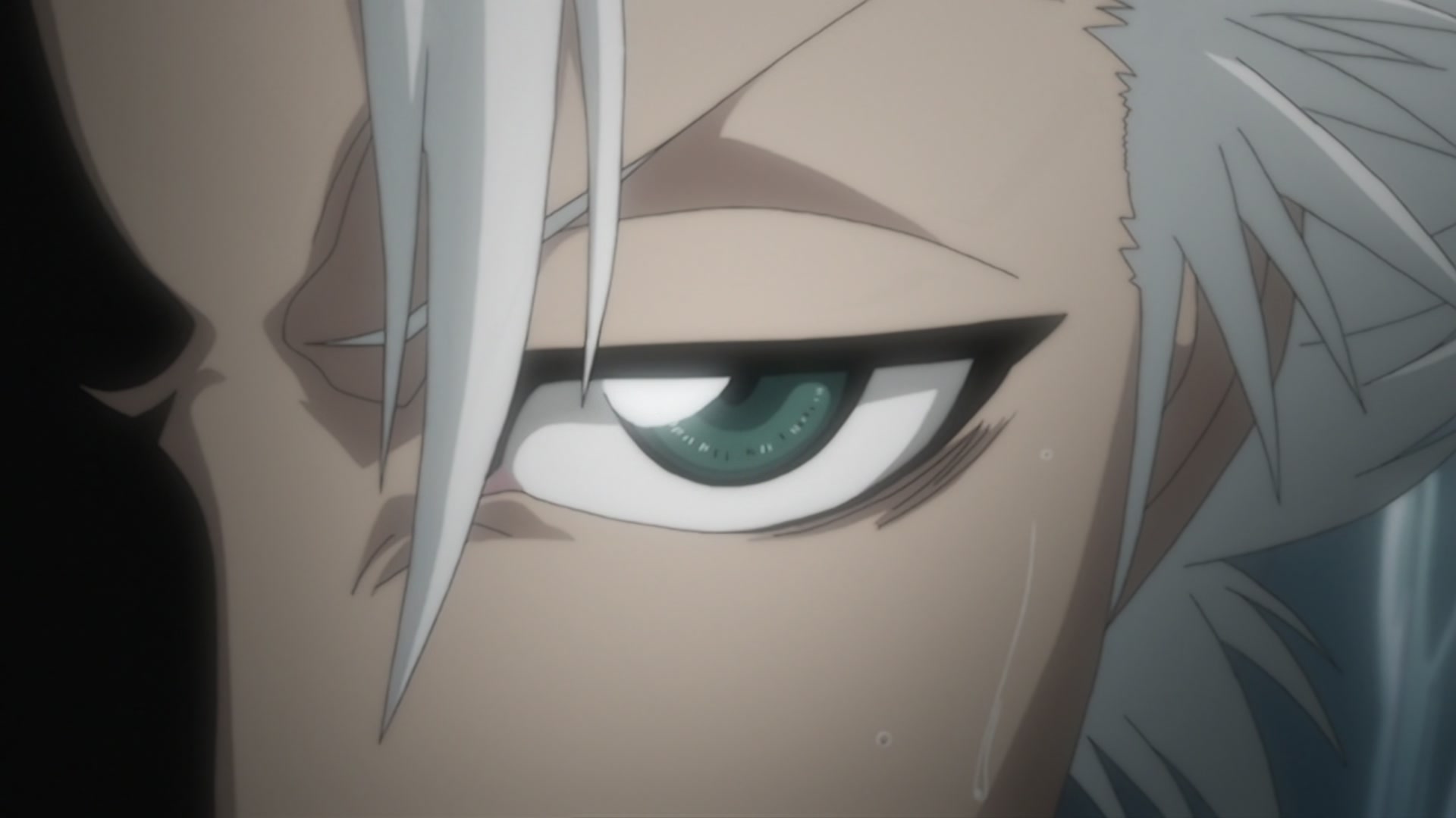 Bleach Ep 310: Ichigo's Resolution! The Price of the Fierce Battle @ 00:16:00