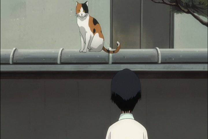 Bleach Ep 316: Hitsugaya Toshiro's Holiday! @ 00:14:30