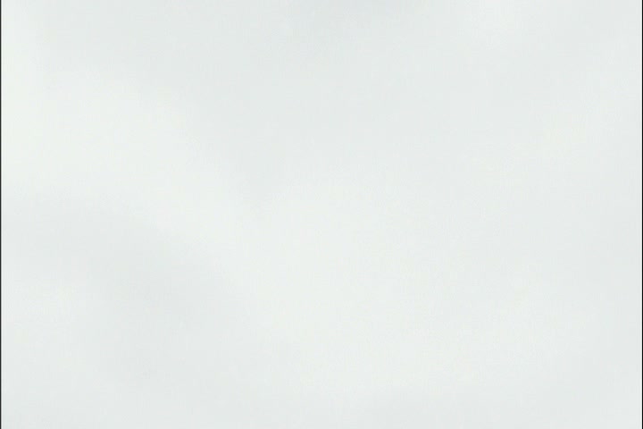 Bleach Ep 316: Hitsugaya Toshiro's Holiday! @ 00:21:50