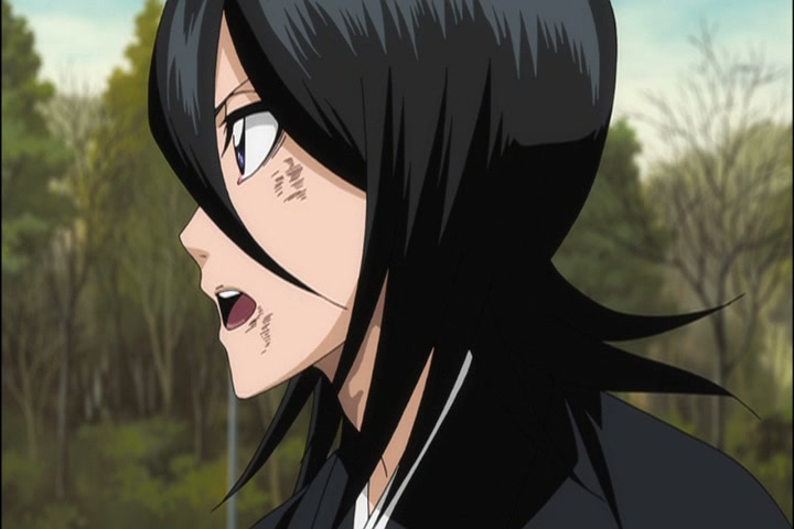 Bleach Ep 333: Destroy Nozomi?! Genryusai's Decision @ 00:11:42