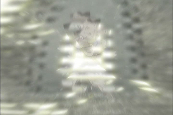 Bleach Ep 335: Hiding in the Dangai? Another Ichigo?! @ 00:03:57