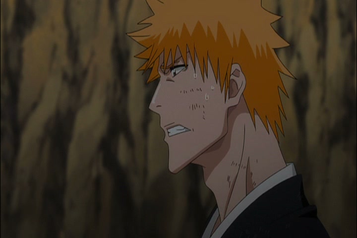 Bleach Ep 341: Invading Army Arc, Final Conclusion! @ 00:09:25