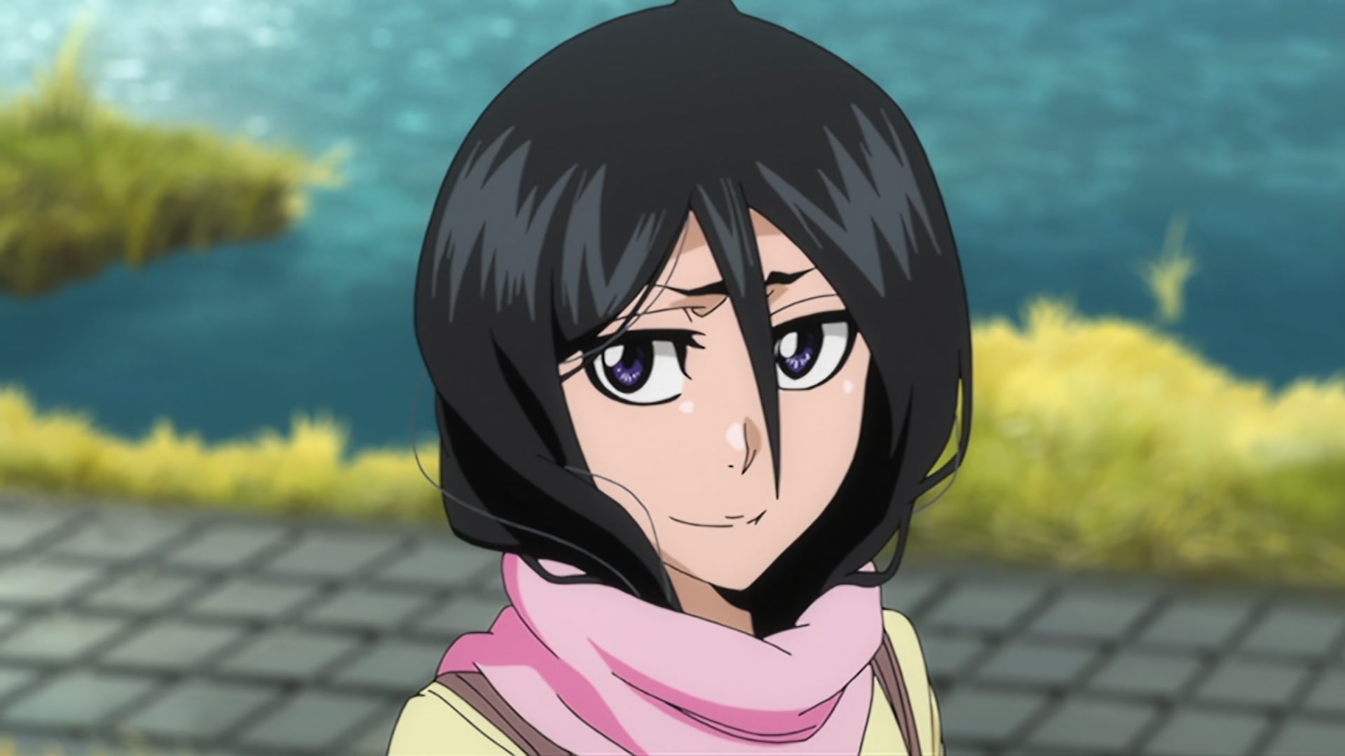 Bleach Ep 342: Thank You @ 00:09:49
