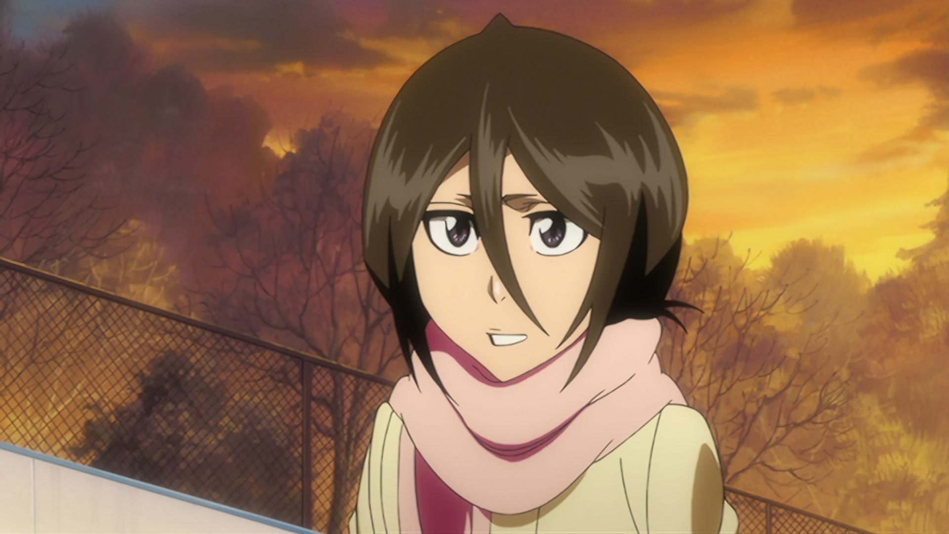Bleach Ep 342: Thank You @ 00:11:38
