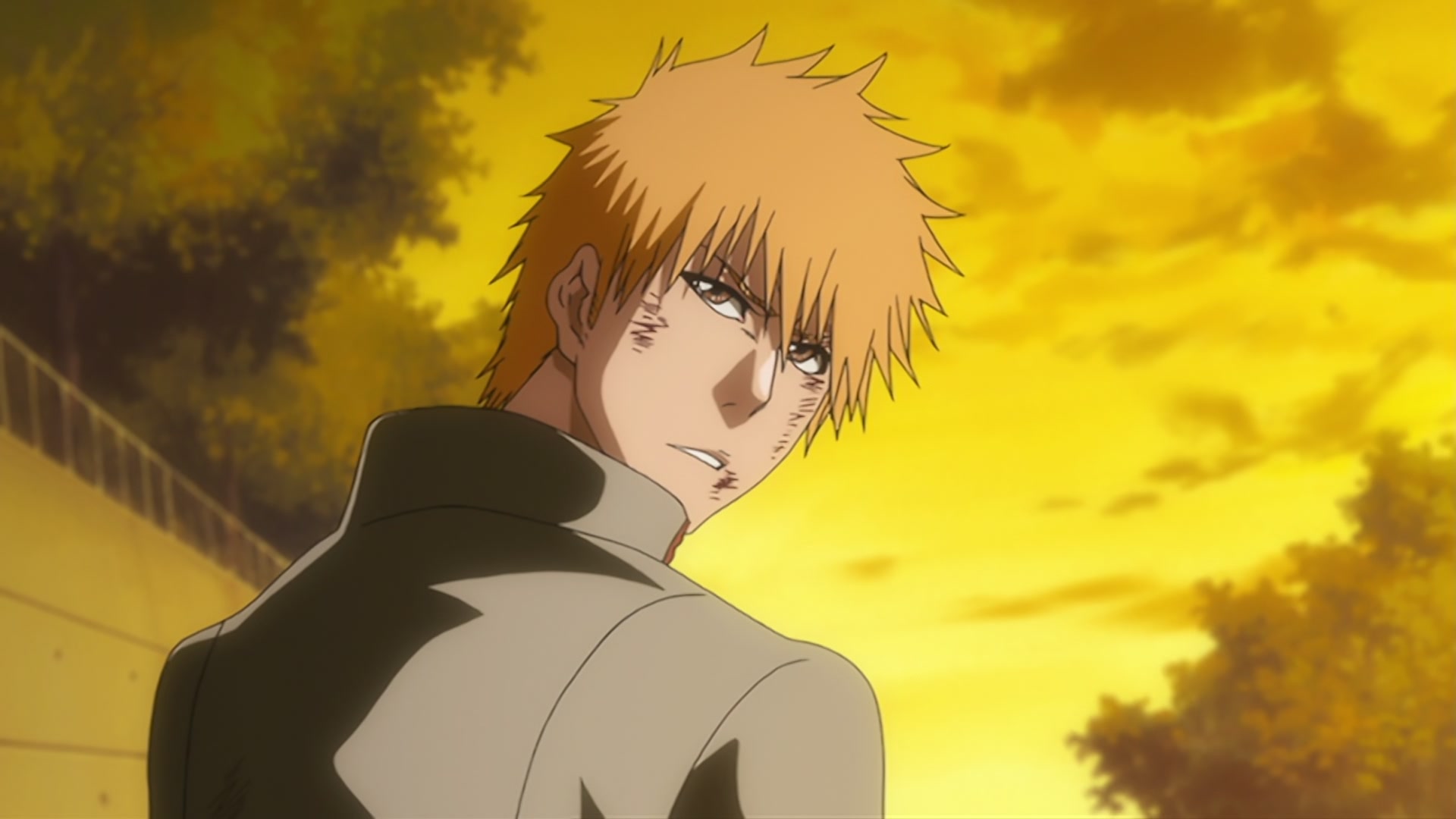Bleach Ep 347: A Crisis Sneaking up on the Kurosaki Family?! Ichigo's Confusion! @ 00:20:26