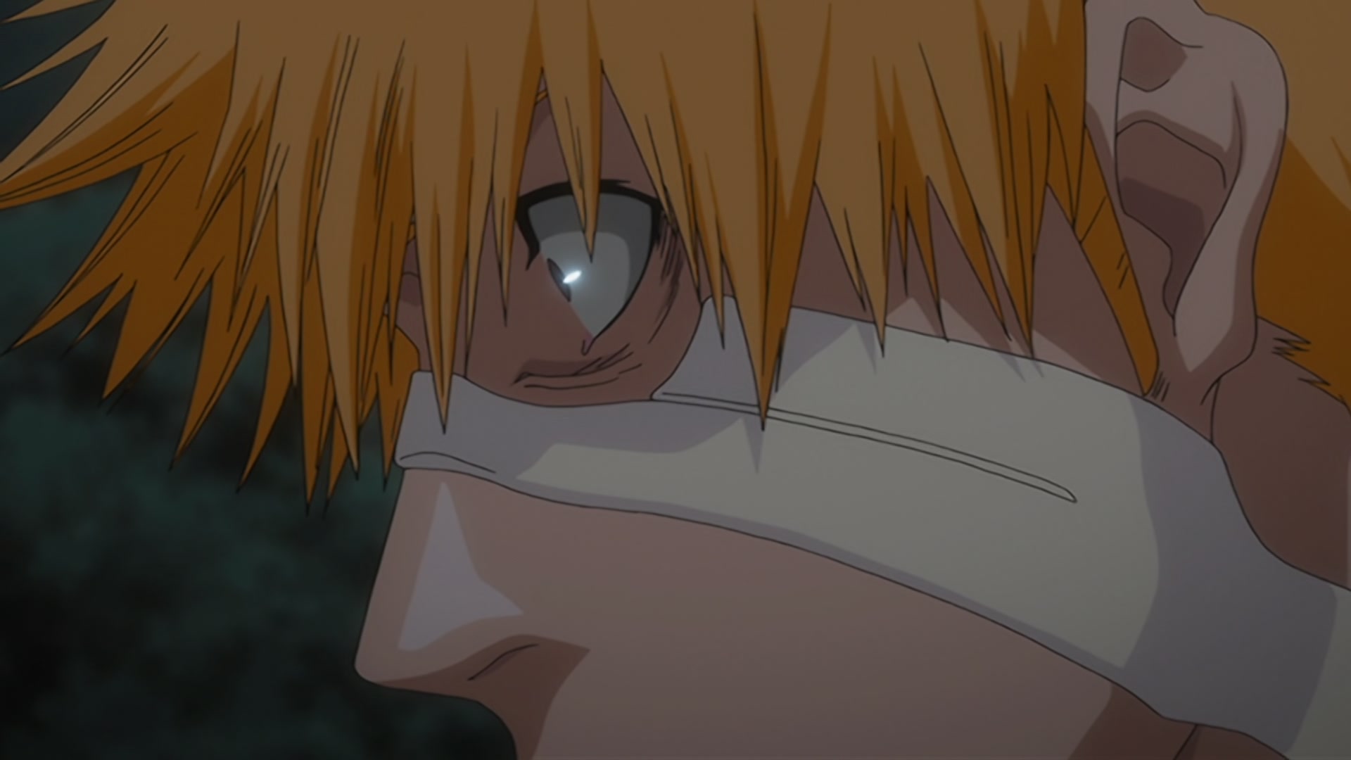 Bleach Ep 361: A New Appearance! The Gotei 13, Arrive! @ 00:05:13