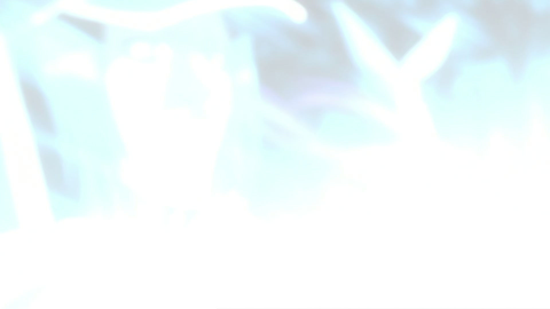 Bleach Ep 362: Revival! Substitute Shinigami: Ichigo Kurosaki! @ 00:17:21