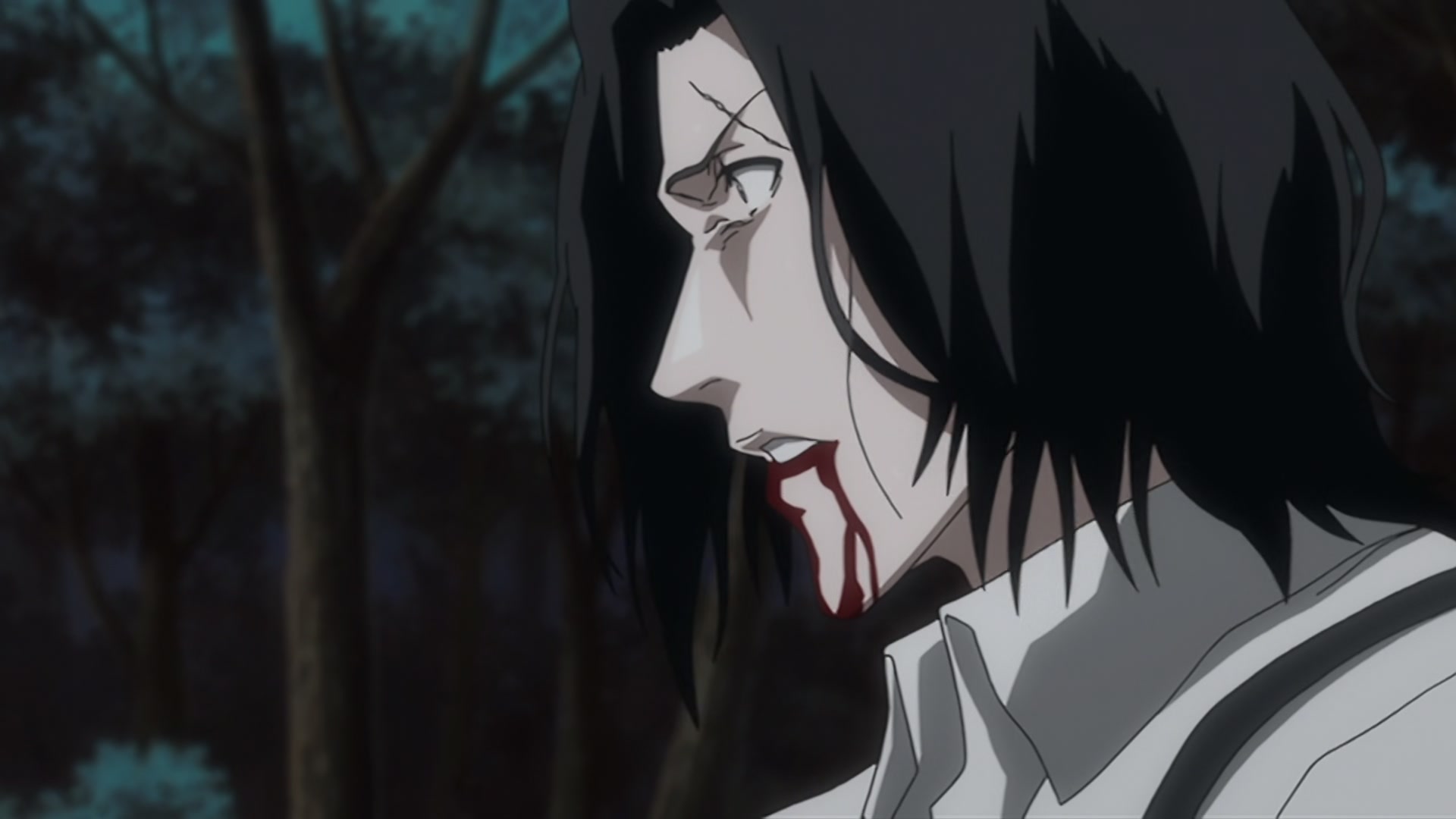 Bleach Ep 366: Changing History, Unchanging Heart @ 00:06:12