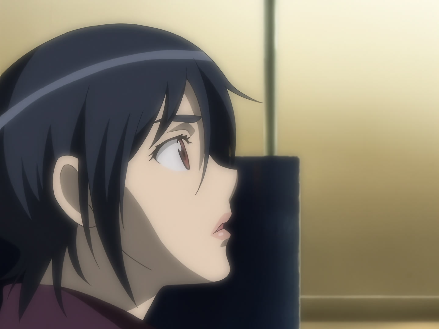 Blood+ Ep 38: The Showdown Island @ 08:32
