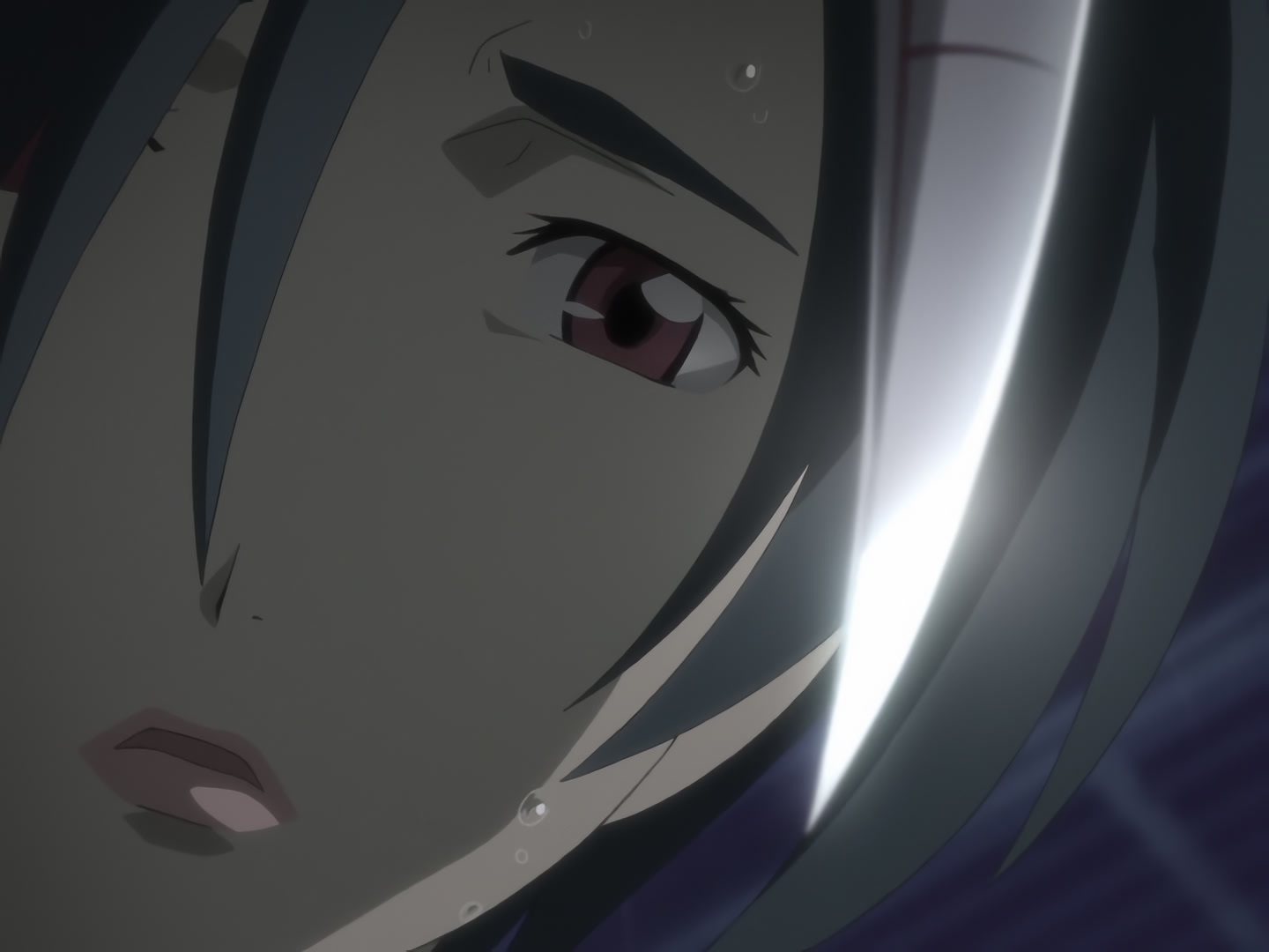 Blood+ Ep 50: Nankurunaisa @ 04:16