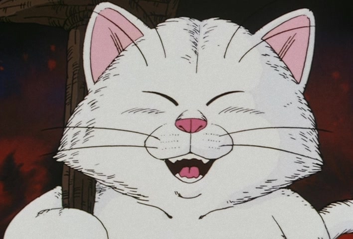 Dragon Ball Z Ep 91: Showdown!! The Embodiment of Flame in a 20-Fold Kaio-Ken Kamehameha @ 18:57
