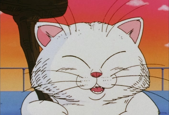 Dragon Ball Z Ep 111: A Direct Confrontation with Piccolo!! An Angry Masenko in the Heavens @ 11:51