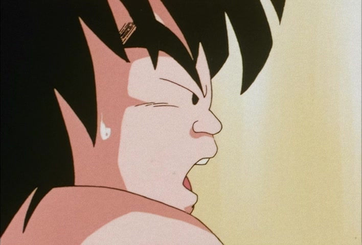 Dragon Ball Z Ep 112: Restore Everyone's Minds!! The Ultra Holy Water Resting in the Temple @ 13:31