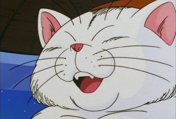 Dragon Ball Z Ep 112: Restore Everyone's Minds!! The Ultra Holy Water Resting in the Temple @ 14:01