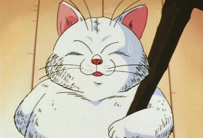 Dragon Ball Z Ep 218: Exposed!! The Saiyaman is Son Gohan @ 09:07