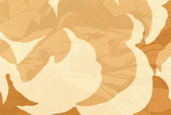 Dragon Ball Z Ep 268: Merged!! Vegeta's Pride and Goku's Rage @ 19:00