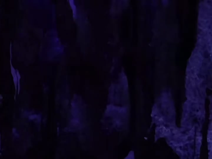 Dragon Ball Ep 14: Goku's Rival @ 04:24