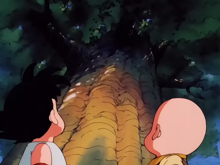 Dragon Ball Ep 18: Turtle Style Training @ 19:20