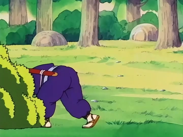 Dragon Ball Ep 38: Five Murasakis @ 07:41