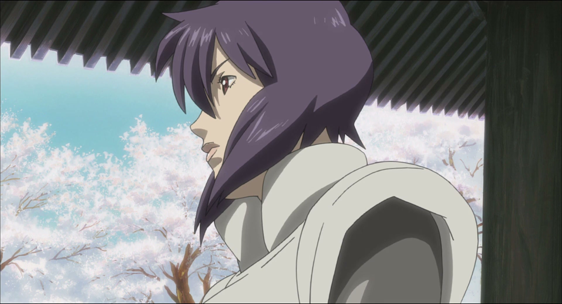 Ghost in the Shell: Stand Alone Complex Ep 52: IN: Return to Patriotism - ENDLESS?GIG @ 00:22:02