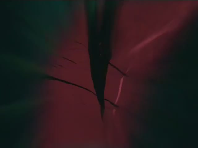 Inuyasha Ep 2: Seekers of the Sacred Jewel @ 00:00:47