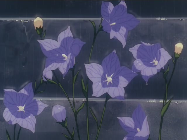 Inuyasha Ep 14: Kikyo's Stolen Ashes @ 00:13:37
