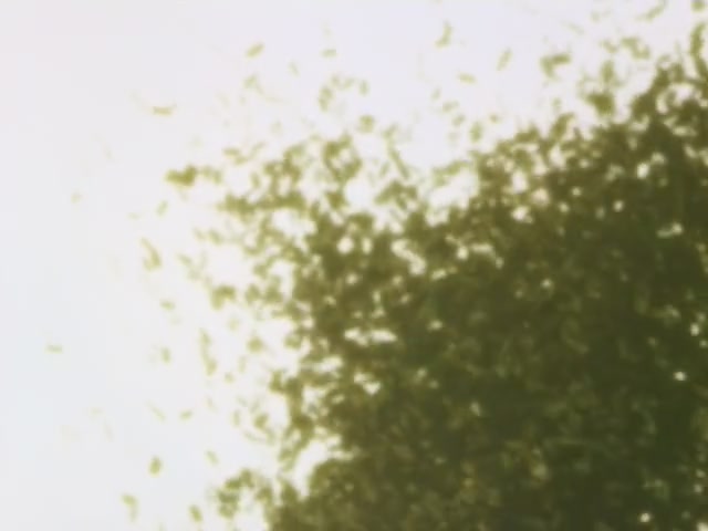 Inuyasha Ep 82: Gap Between the Ages @ 00:00:42